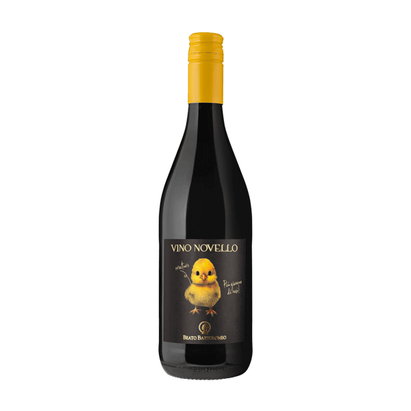 Novello Vino Rosso 2025, Beato Bartolomeo Breganze. Rotwein aus Venetien, Merlot.