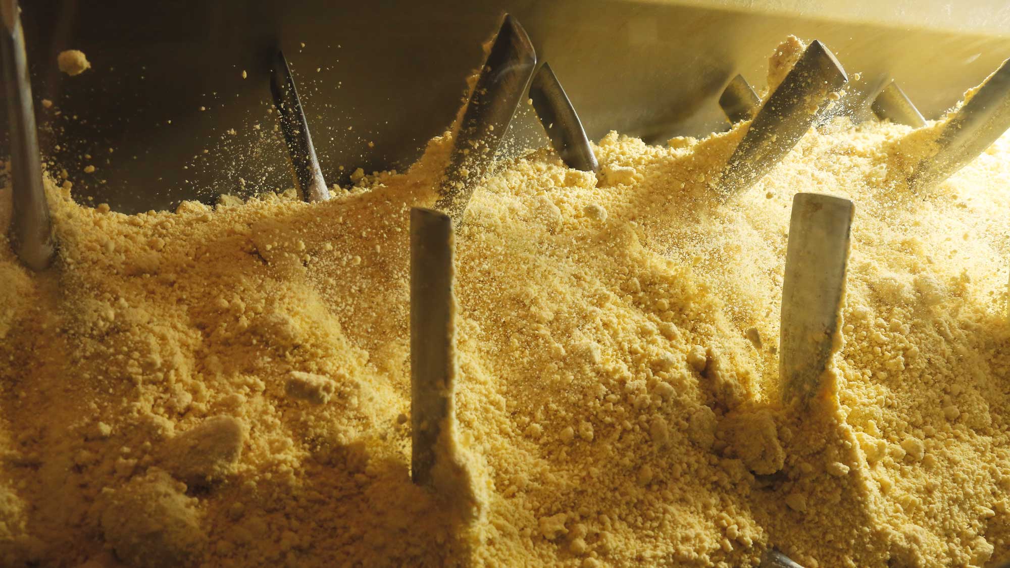 Weizen wird in einer Mischmaschine verarbeitet und zu Mehl für die Pasta-Produktion von La Molisana