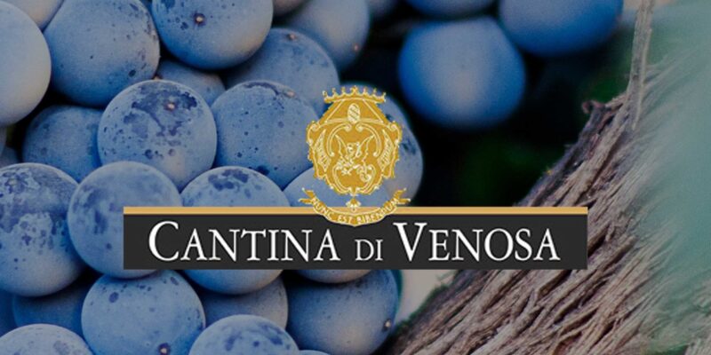 Logo von Cantina di Venosa vor einer Nahaufnahme von reifen, blauen Weintrauben an einem Weinstock