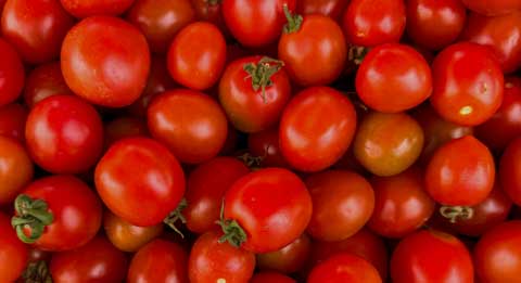 Eine Fülle von reifen, roten Tomaten, die den Fokus auf die hochwertige Tomatenproduktion der Marke Mutti legen