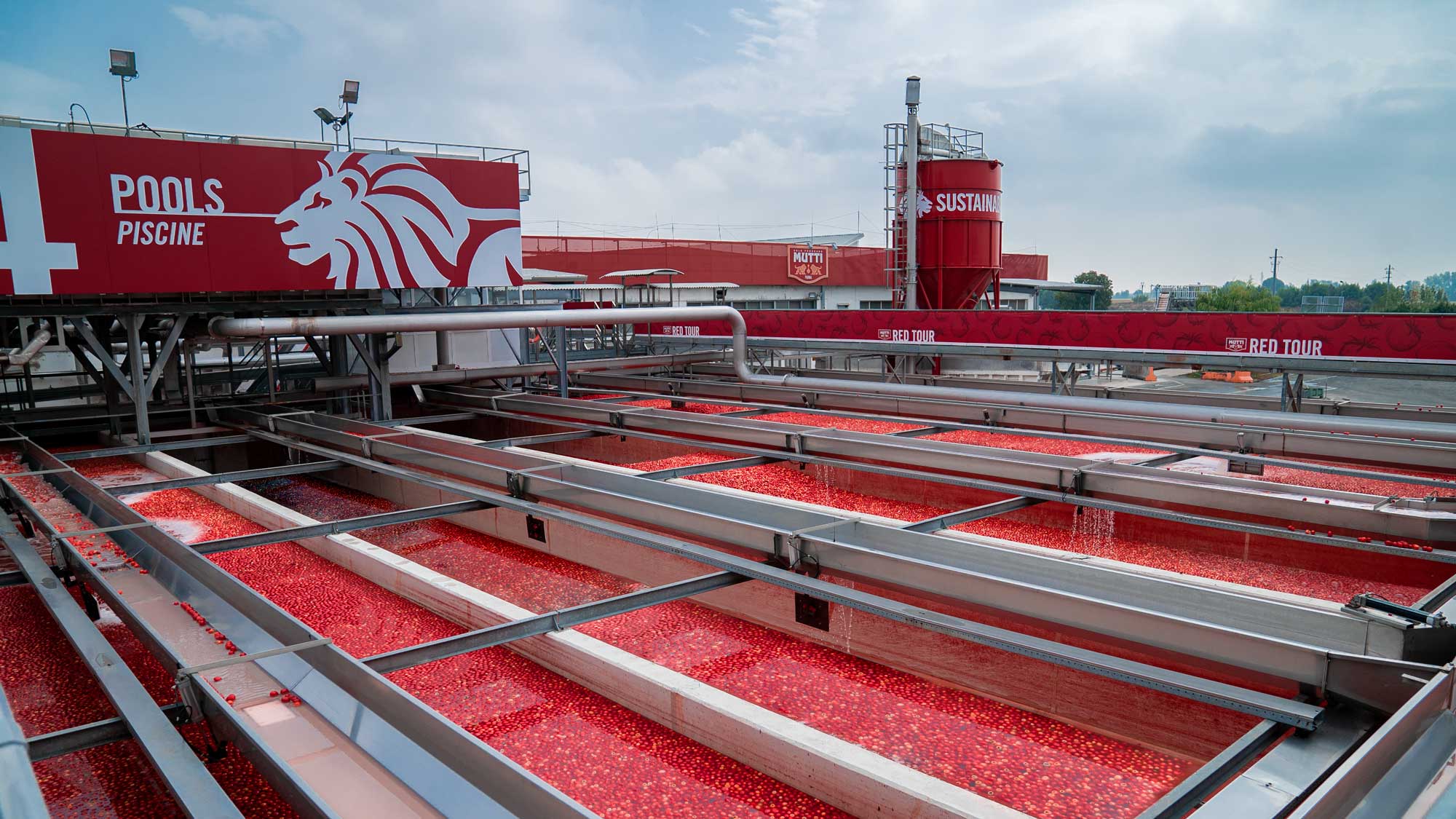 Mutti-Verarbeitungsanlage mit großen Pools, in denen Tomaten für die Weiterverarbeitung gereinigt und sortiert werden