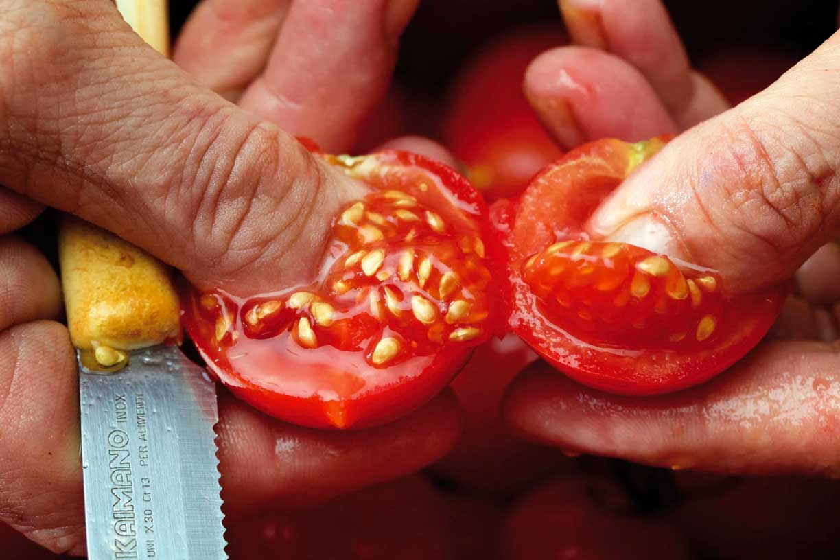 Ein traditioneller Vorgang der Tomatenverarbeitung, bei dem frische, rote Tomaten mit der Hand ausgedrückt werden. Dieser handwerkliche Schritt symbolisiert die Hingabe zur natürlichen und authentischen italienischen Küche, wie sie von Pastificio Gentile unterstützt wird