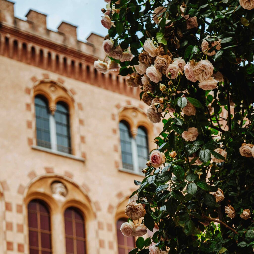 Rosenblüten vor der eleganten Fassade des Barolo-Schlosses, ein Symbol für die Schönheit und Romantik der piemontesischen Landschaft.