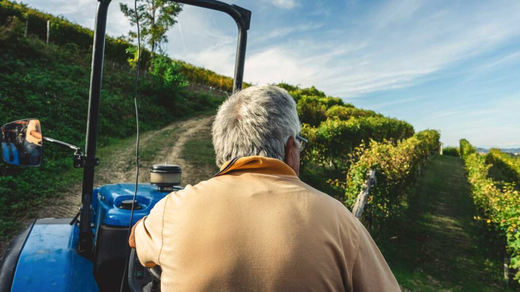 Ein Weinbauer auf einem Traktor, umgeben von grünen Weinreben unter einem klaren blauen Himmel in der Barolo-Region.