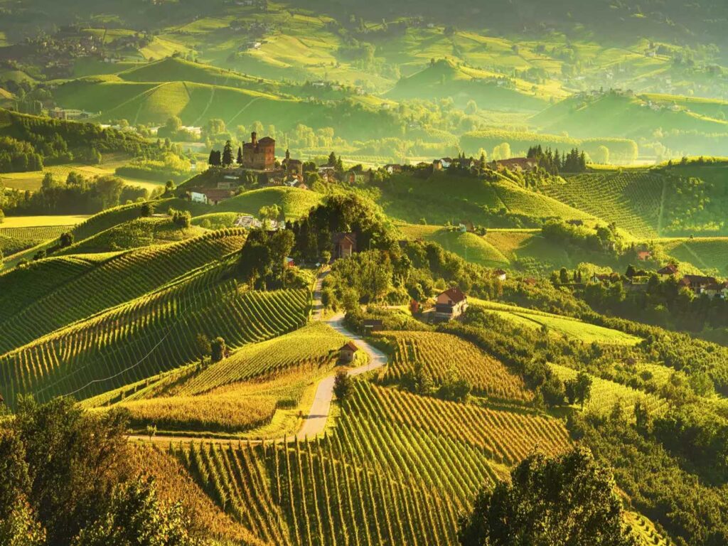 Atemberaubender Blick auf die sonnigen Hügel der Barolo-Region, bedeckt mit Reihen von Weinbergen und historischen Gebäuden.