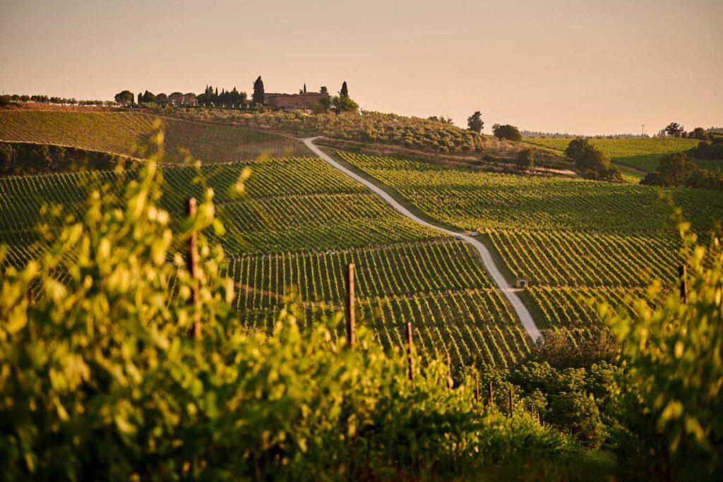 Weinberge von Franciacorta in der Lombardei bei Sonnenuntergang – sanfte Hügel, akkurat angelegte Rebreihen und ein historisches Gutshaus spiegeln die jahrhundertealte italienische Weintradition wider.