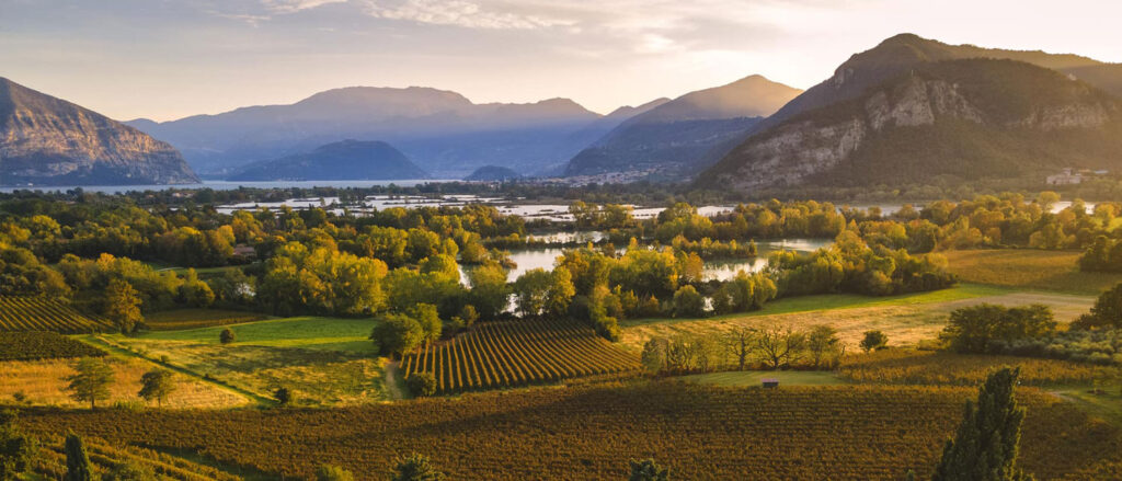 Ein idyllisches Panorama von Franciacorta bei Sonnenuntergang, mit Weinbergen, grünen Feldern und dem Lago d’Iseo im Hintergrund. Perfekt, um die Ursprungsregion des berühmten italienischen Schaumweins zu zeigen.