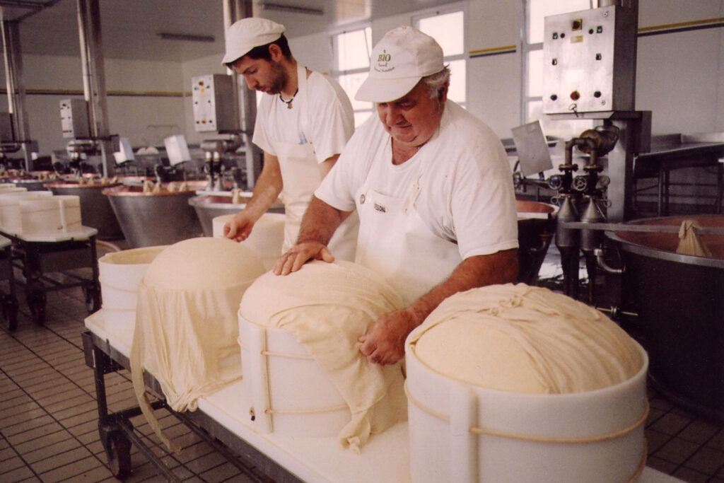 Traditionelle Herstellung von Parmigiano Reggiano: Käser formen die Laibe in einer Käserei in Emilia-Romagna.