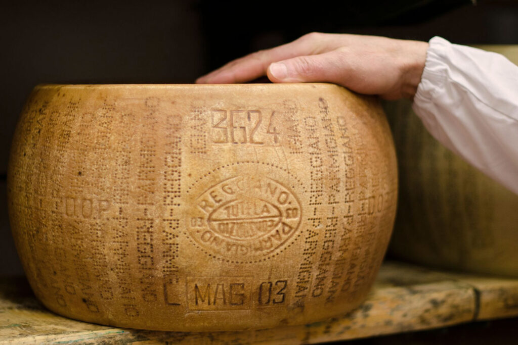 Reifung von Parmigiano Reggiano: Nahaufnahme eines originalen Käselaibs mit DOP-Prägung und Handkontrolle.