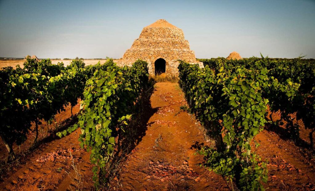 Ein historischer Trullo, eine traditionelle Steinhütte Apuliens, steht umgeben von Primitivo-Weinreben auf roter Erde unter blauem Himmel.