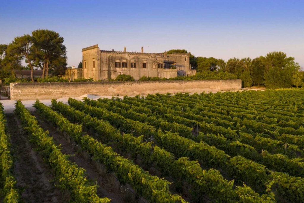 Eine prächtige italienische Masseria, ein traditionelles Landgut, liegt malerisch inmitten eines üppig grünen Weinbergs in Apulien.