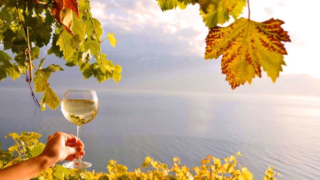 Ein Glas Lugana-Weißwein wird von einer Hand gehalten, umgeben von herbstlichen Weinblättern, mit Blick auf den ruhigen Gardasee im Hintergrund – ein Symbol für Genuss und italienische Weinkultur.