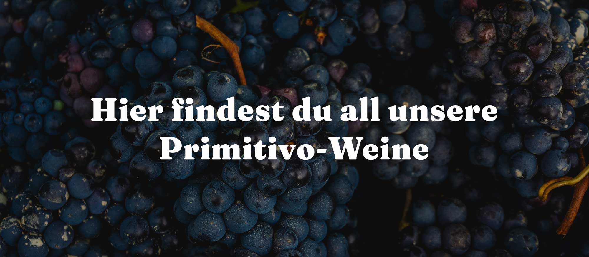 Hier findest du all unsere Primitivo-Weine