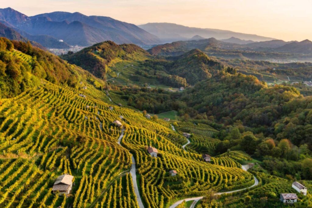 Landschaftsaufnahme der Hügel von Valdobbiadene mit terrassenförmig angelegten Weinbergen, die in der goldenen Abendsonne leuchten.