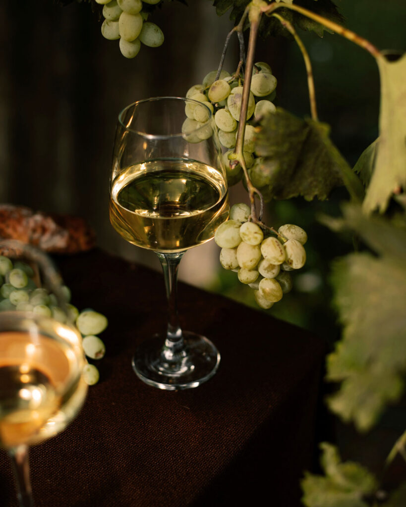 Glas mit goldfarbenem Prosecco zwischen reifen Glera-Trauben am Rebstock – Symbol für Frische, Natur und Handwerkskunst.