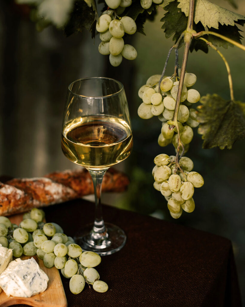 Ein Glas Riesling Weißwein zwischen frischen Weintrauben, Blauschimmelkäse und Brot – harmonische Kombination von Wein und Kulinarik.