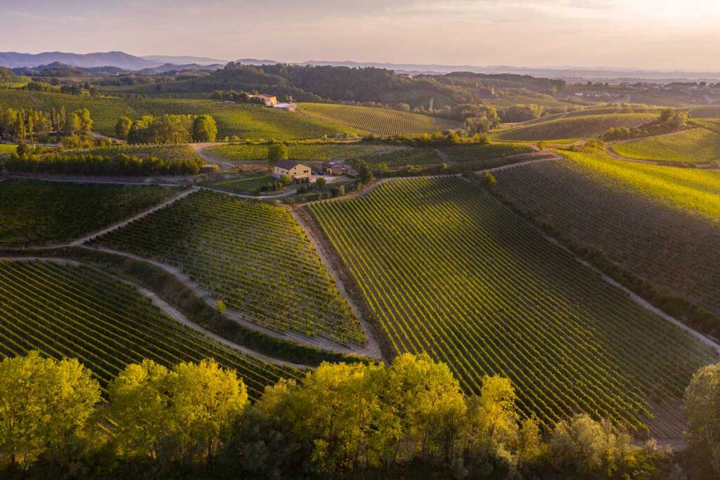 Luftaufnahme der Gavi-Weinregion bei Sonnenuntergang mit grünen Rebfeldern und Landhäusern.
