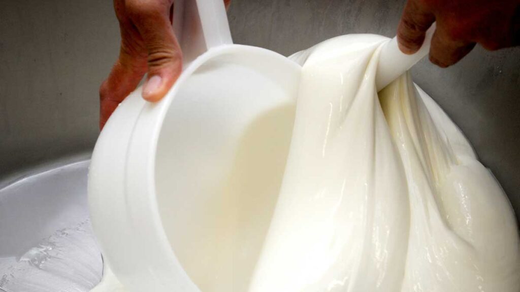 Traditionelle Verarbeitung von Mozzarella-Käseteig in der Molkerei – die typische Struktur entsteht durch das Kneten im heißen Wasser.