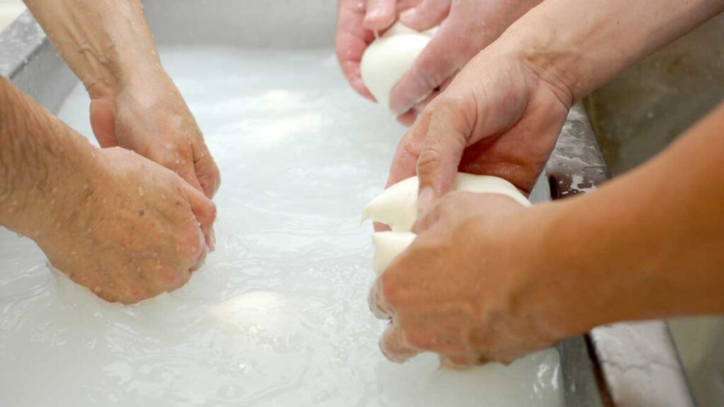 Mehrere Hände formen gemeinsam kleine Mozzarella-Kugeln – traditionelles italienisches Käsehandwerk.