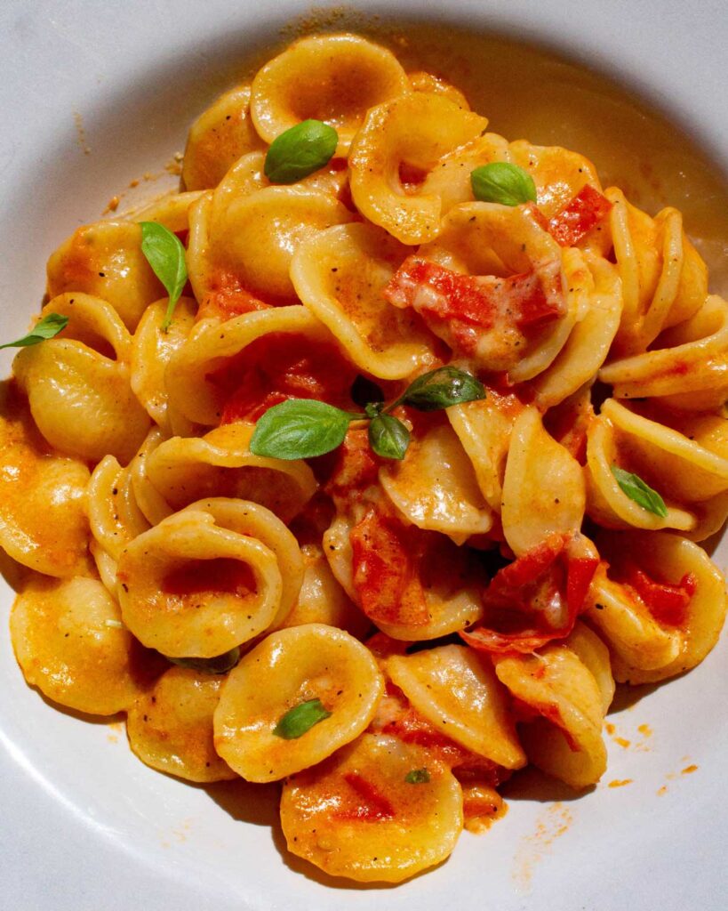 Nahaufnahme von Orecchiette mit Tomatensauce und frischem Basilikum, serviert auf einem weißen Teller.