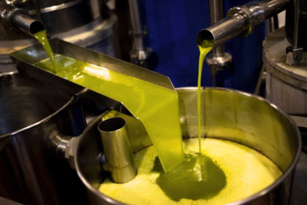 Natives Olivenöl fließt frisch gepresst aus Edelstahlrohren in einen Behälter – Produktion in einer modernen Ölmühle.