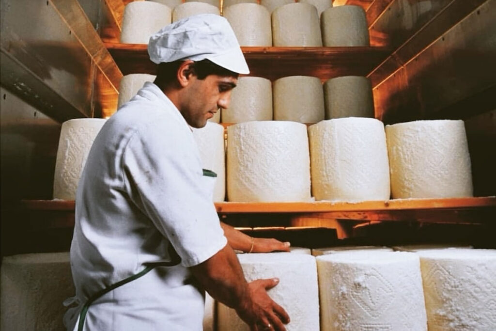 Frisch gesalzene Pecorino-Romano-Laibe reifen in einem warm beleuchteten Reiferaum – ein Blick hinter die Kulissen italienischer Käsekunst.