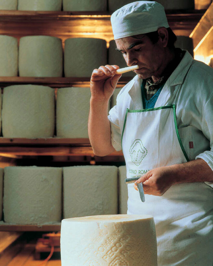 Käsemeister prüft ein Stück Pecorino Romano mit einem langen Prüfdorn – Kontrolle von Textur und Aroma während der Reifezeit, Symbol für Qualität und Tradition.