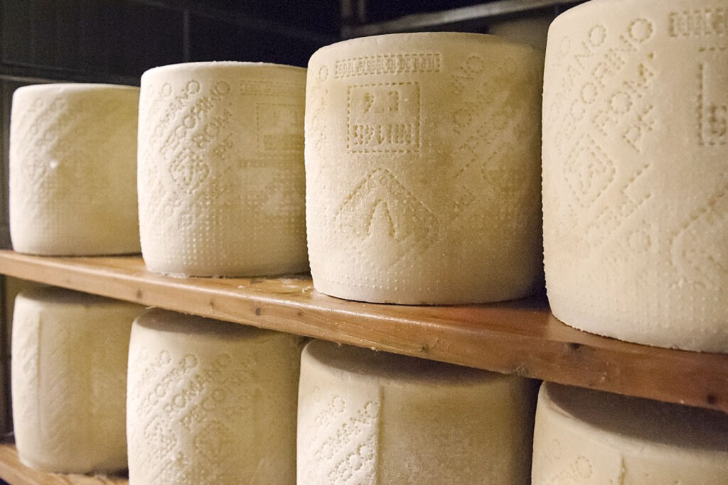 Nahaufnahme mehrerer Pecorino-Romano-Laibe mit geprägtem Qualitätssiegel, gelagert auf Holzregalen – typische DOP-Kennzeichnung für Herkunft und Authentizität.
