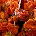 Leuchtend rote, straff aufgereihte Pomodori Secchi an einer Schnur – traditionelle Lufttrocknung von Tomaten in Süditalien, Symbol mediterraner Vorratskunst.