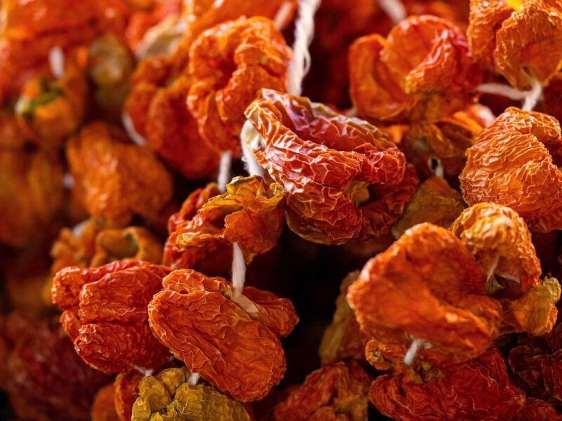 Leuchtend rote, straff aufgereihte Pomodori Secchi an einer Schnur – traditionelle Lufttrocknung von Tomaten in Süditalien, Symbol mediterraner Vorratskunst.