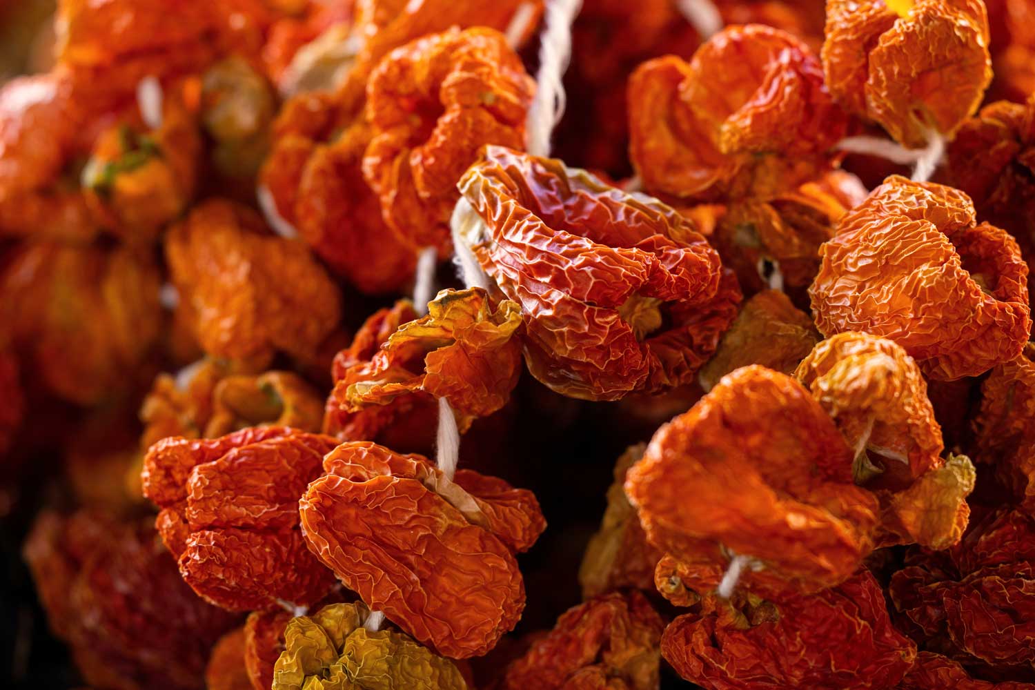 Leuchtend rote, straff aufgereihte Pomodori Secchi an einer Schnur – traditionelle Lufttrocknung von Tomaten in Süditalien, Symbol mediterraner Vorratskunst.