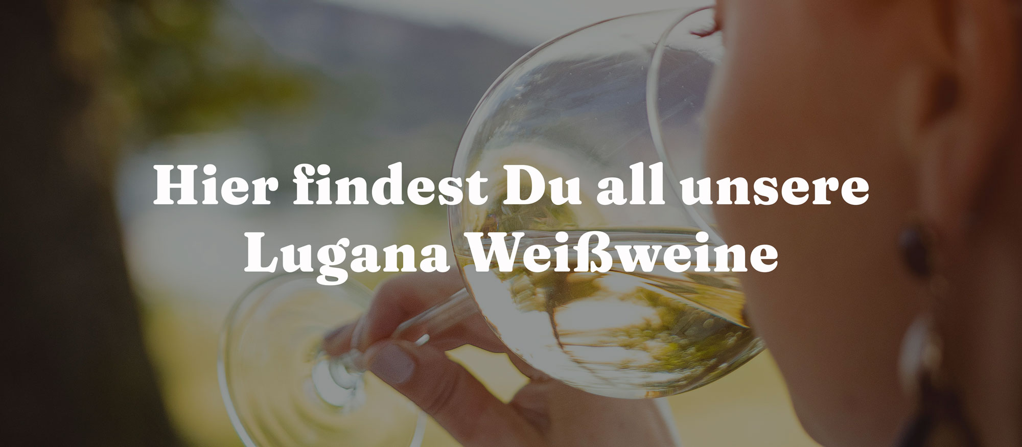 Hier findest du all unsere Lugana-Weine