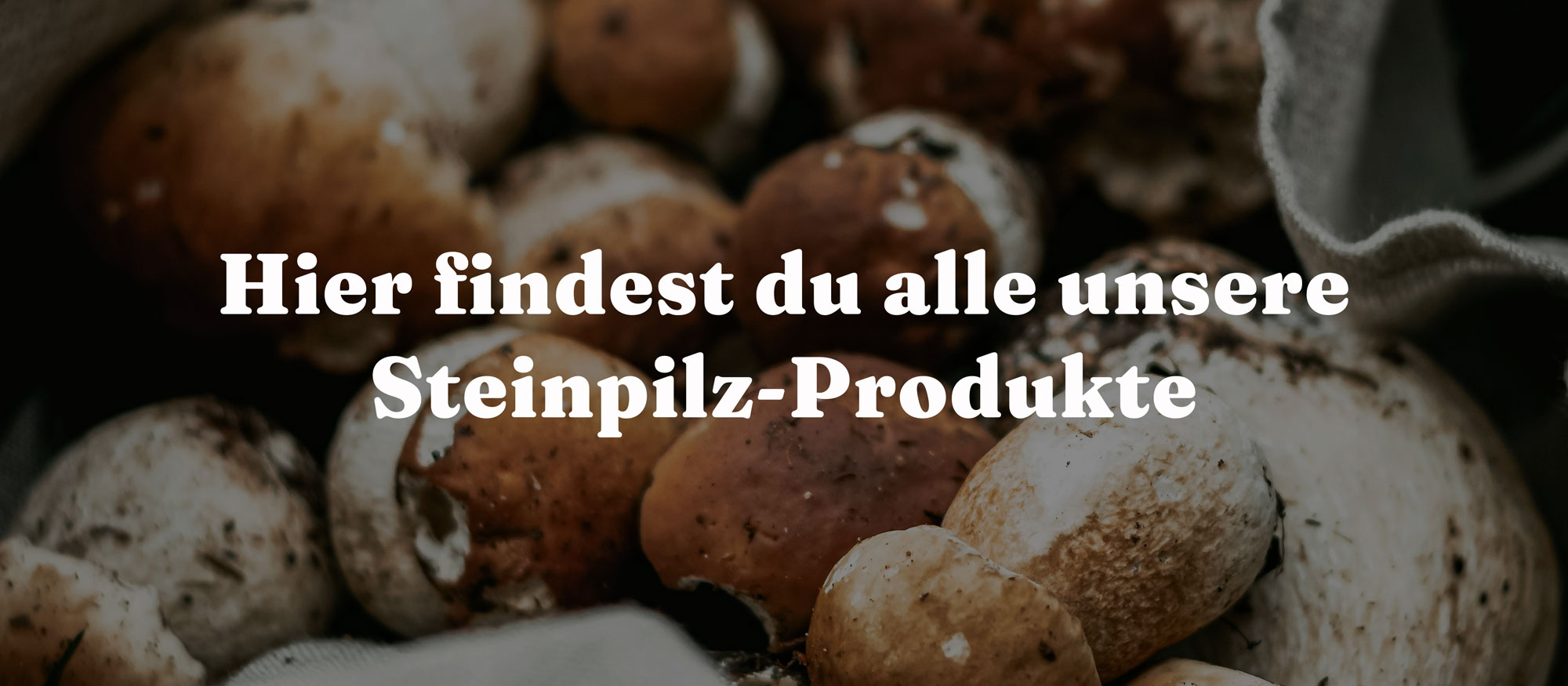 Hier findest du alle unsere Steinpilz-Produkte