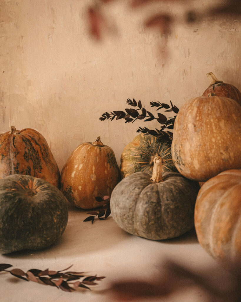 Verschiedene Kürbissorten in natürlichen Farben – perfekte Basis für ein herbstliches Risotto alla zucca