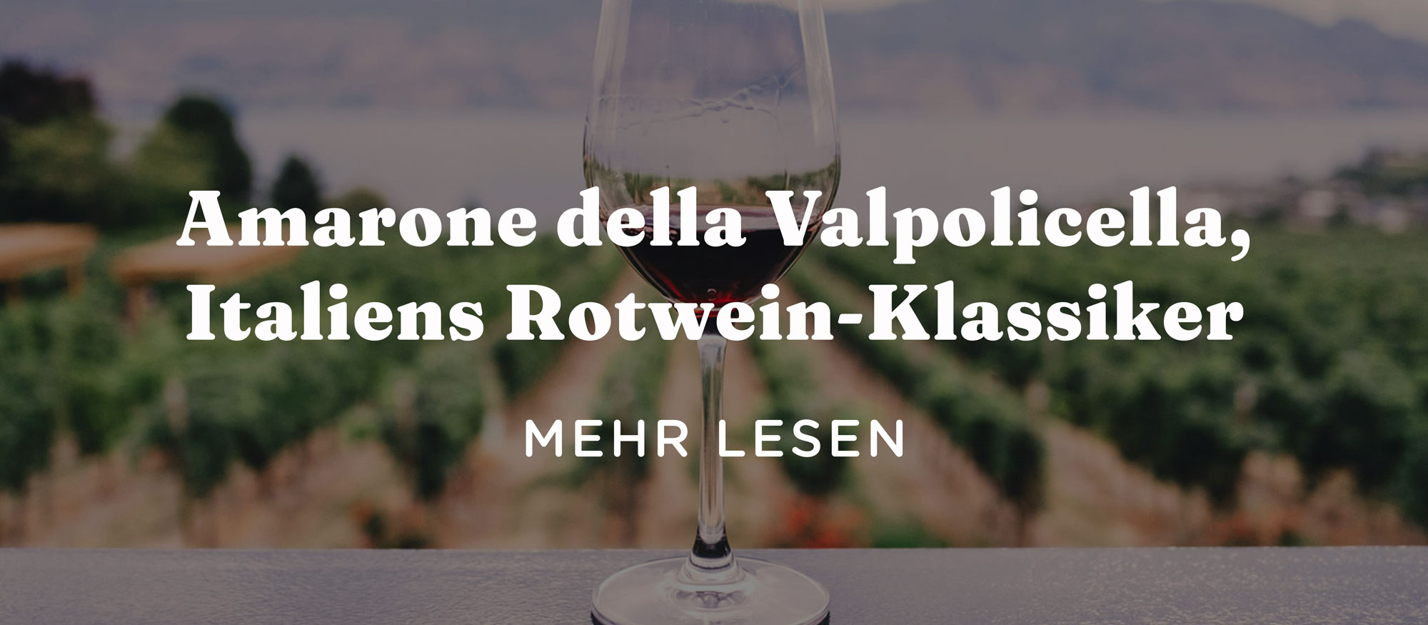Amarone della Valpolicella – Der große Klassiker unter den italienischen Rotweinen