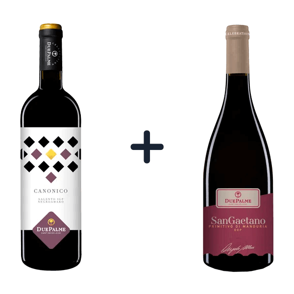 Sparpaket • Negroamaro & Primitivo, Due Palme • 5% Rabatt