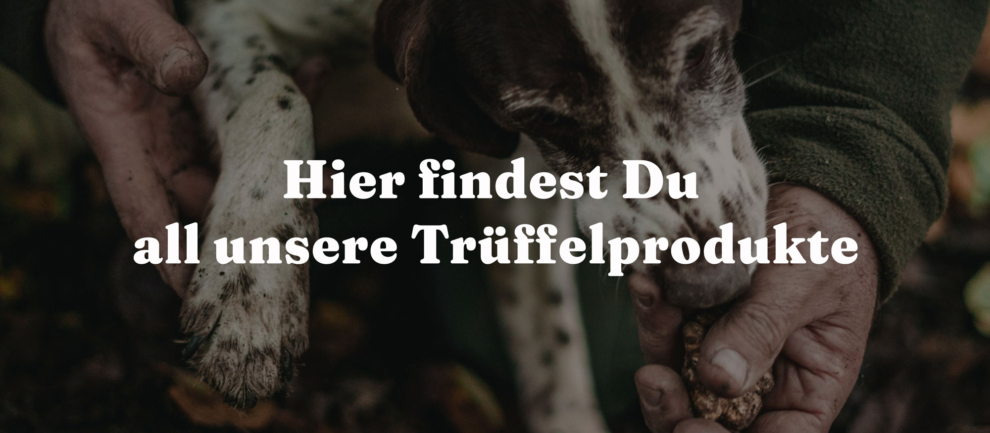 Centro Italia Alle Trüffelprodukte