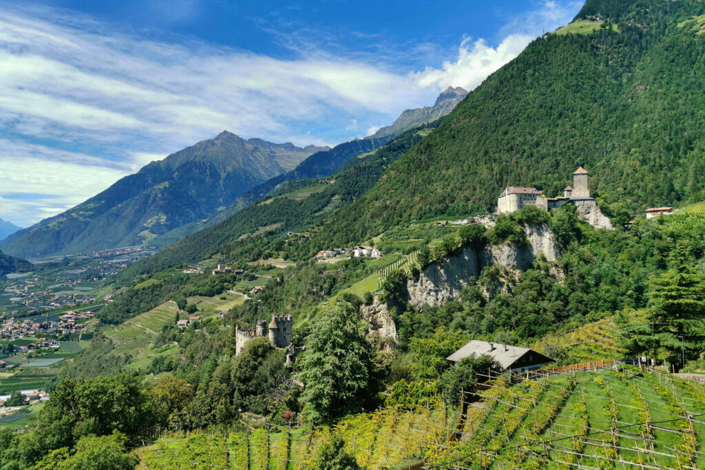 Weinberge und Burg in Südtirol – historische Anbaugebiete für Weißburgunder (Pinot Bianco) in Norditalien.