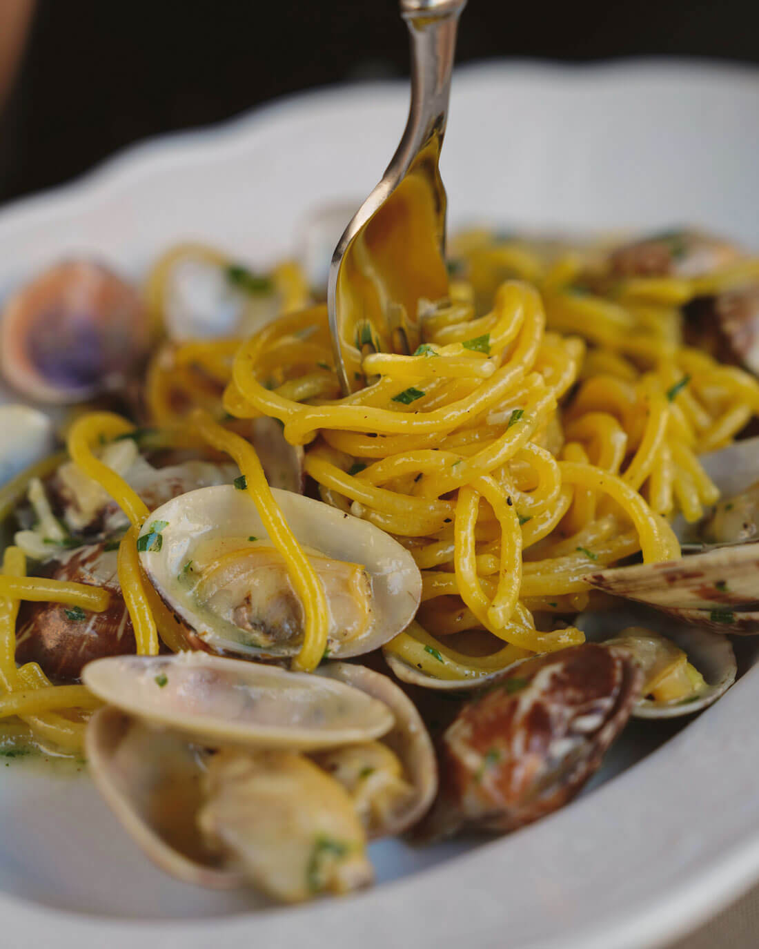 Spaghetti alle Vongole Original Rezept – italienische Pasta mit Venusmuscheln, Knoblauch und Olivenöl Nahaufnahme